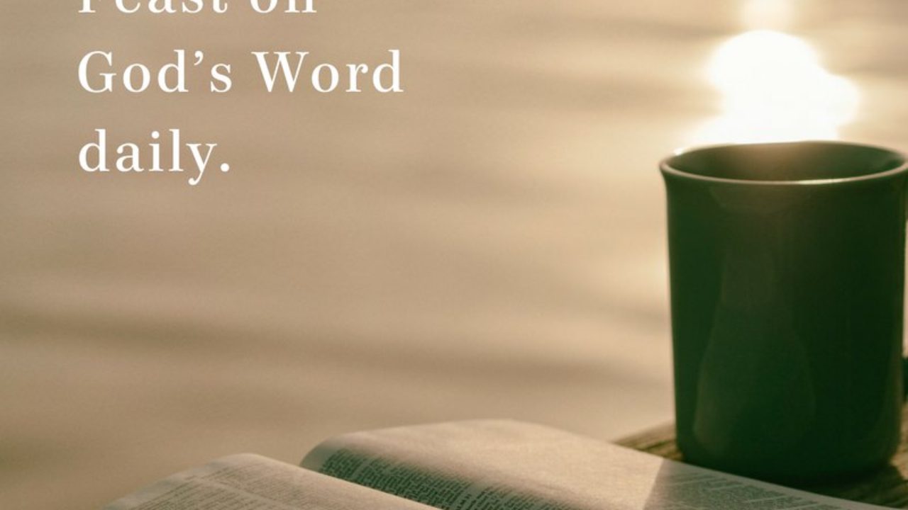 Feed Your Mind with God's Word - Pastor Rick's Daily Hope