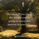 Plant Today, Then Be Patient for the Harvest