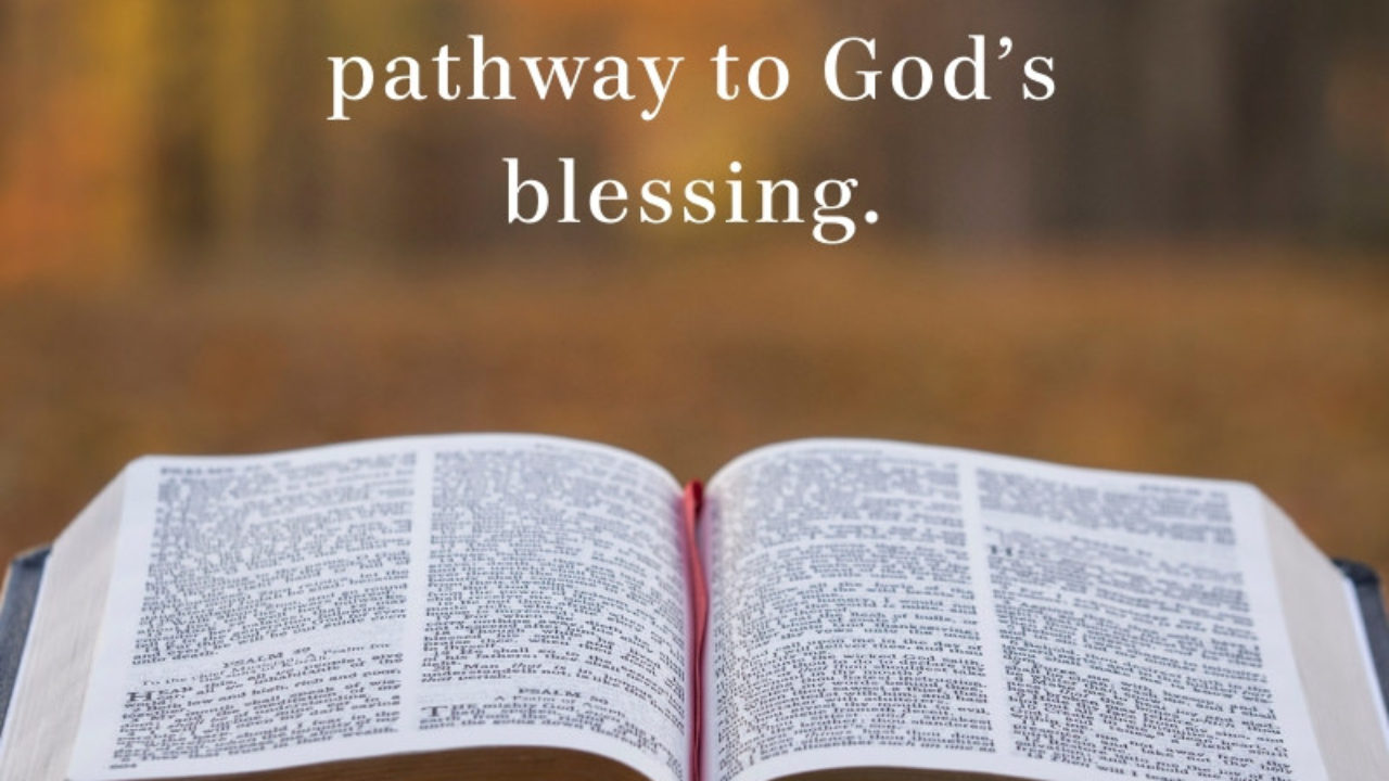 God's Path to Blessing: Study His Word - Pastor Rick's Daily Hope