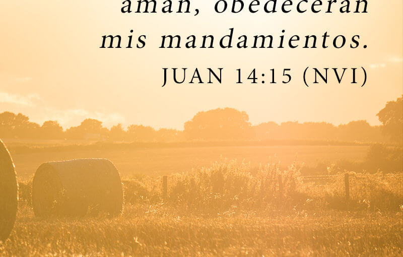 Obediencia Bíblica: Amor + Confianza + Acción