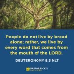 What Is Your Daily Bread?