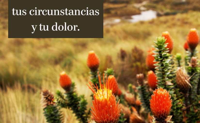 Esperando en Dios? No Temas si te Preocupas o te Debilitas - Pastor Rick's  Daily Hope