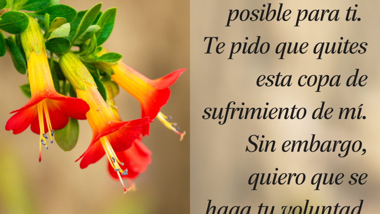 Como Orar en Medio de tu Sufrimiento - Pastor Rick's Daily Hope