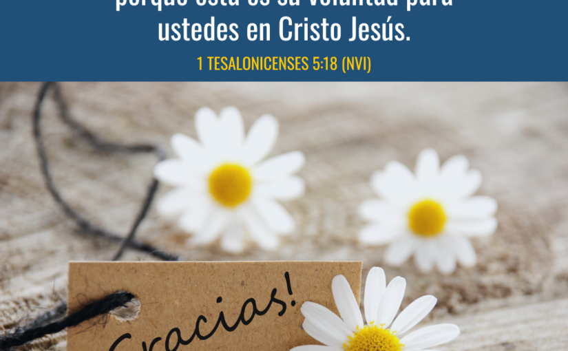 devotion Spanish Archives - Pastor Rick's Daily Hope