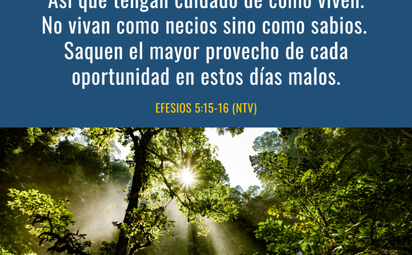 devotion Spanish Archives - Pastor Rick's Daily Hope