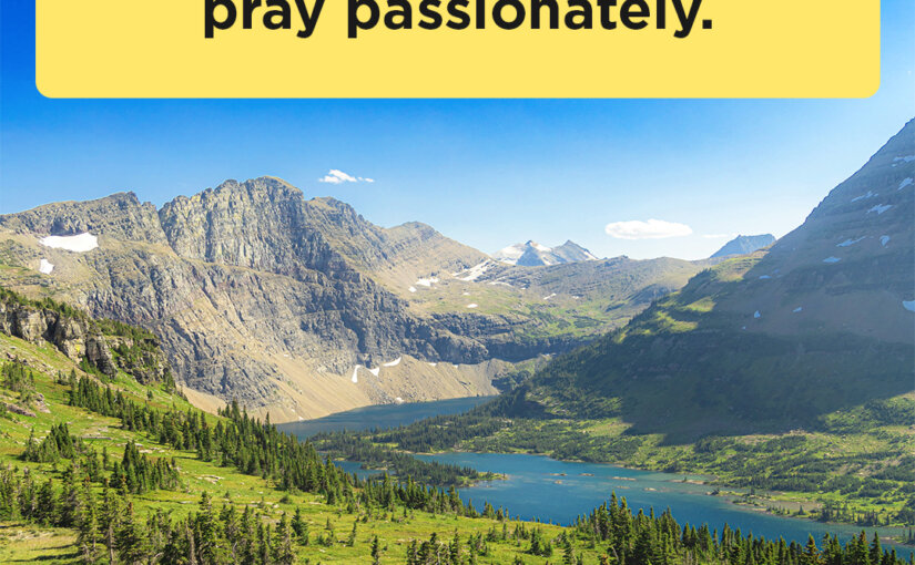 When You Feel Hopeless, Pray Passionately